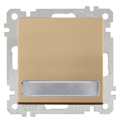 Schalter mit beleuchtetem Namensschild Gold (CANDELA Metall Optik)