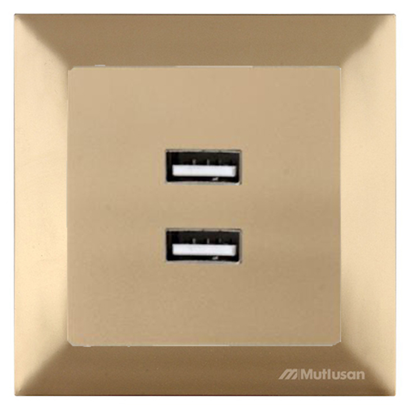 2-fach USB Ladesteckdose  inkl. Rahmen Gold - Candela Schalterserie
