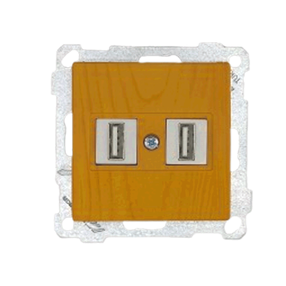 2fach USB Anschluss Eiche Holz Optik- CANDELA Schalterserie