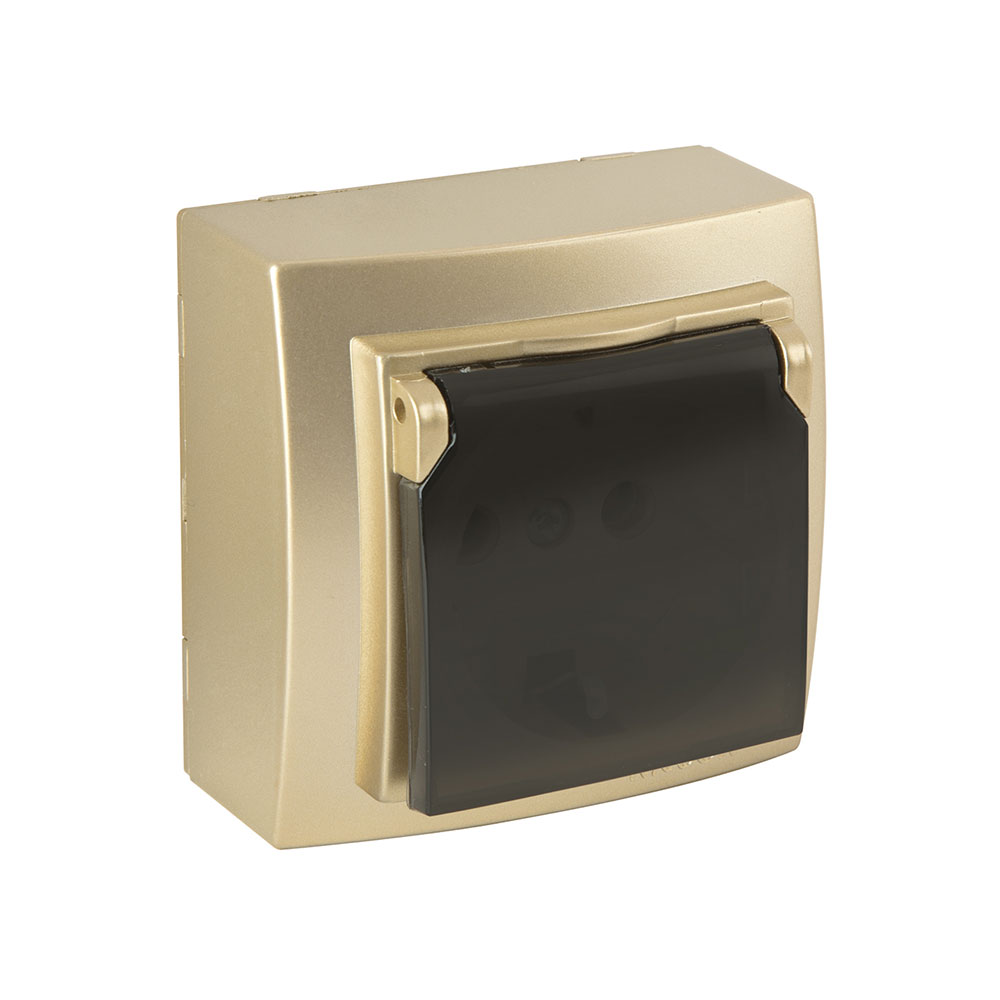 Steckdose mit Deckel Gold · THEMIS