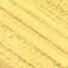 Kiefer / Fichte