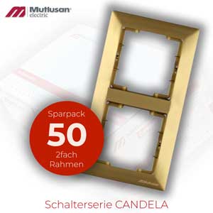 Sparset 50x 2fach Rahmen Vertikal Gold Metall Optik  CANDELA