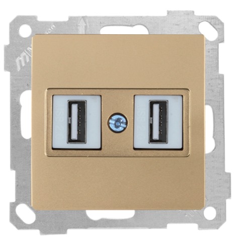 USB Anschluss 2-fach Gold (CANDELA Metall Optik)